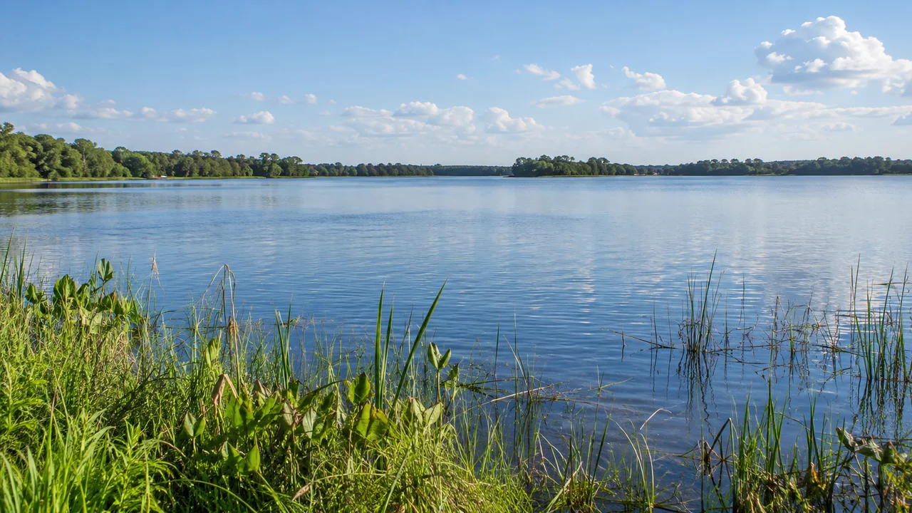 Floridan järvimaisema, AI-kuvitus